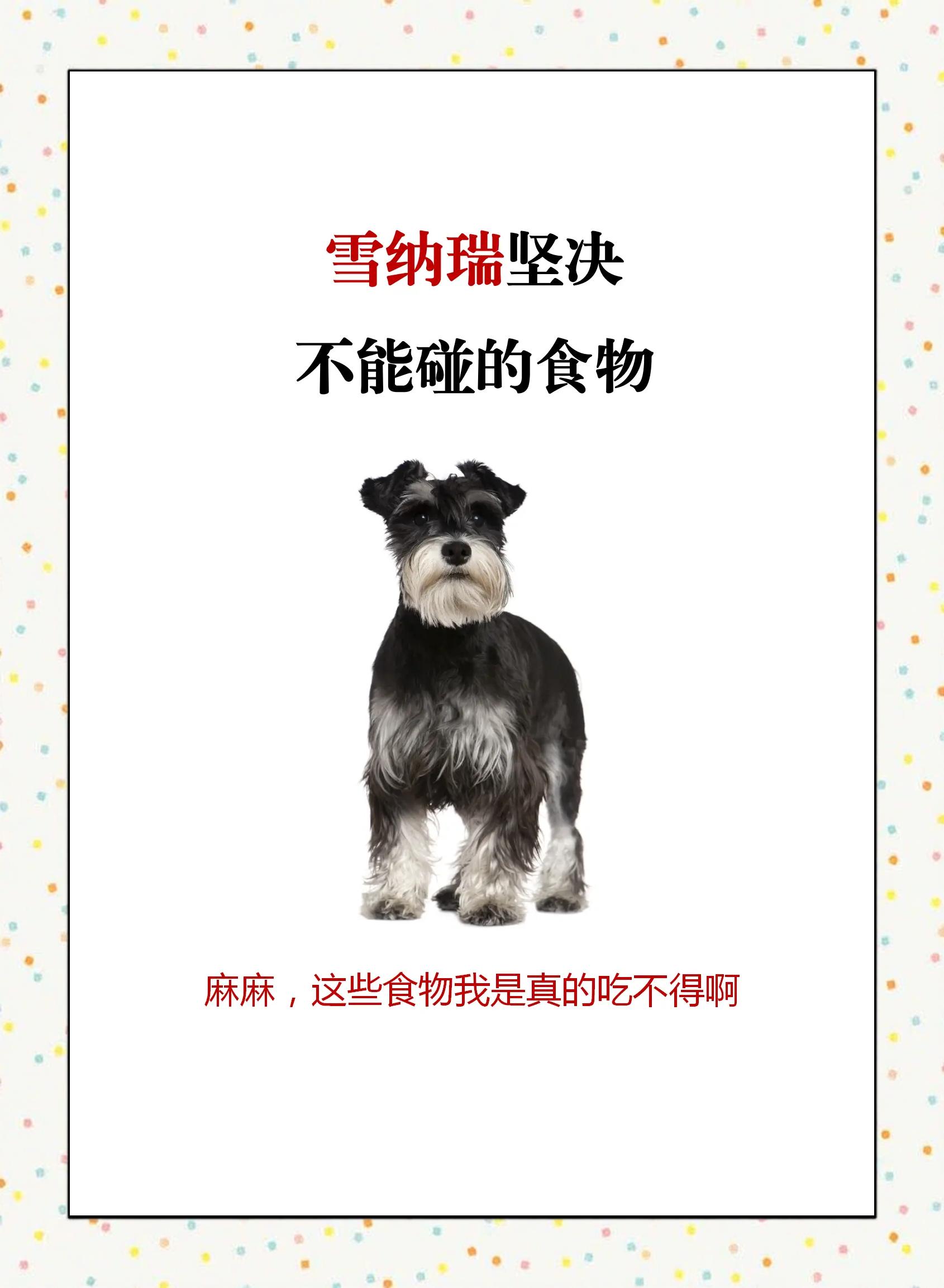 狗狗能吃牛油果吗(狗狗能吃牛油果吗会死吗) 狗狗能吃牛油果吗(狗狗能吃牛油果吗会死吗)