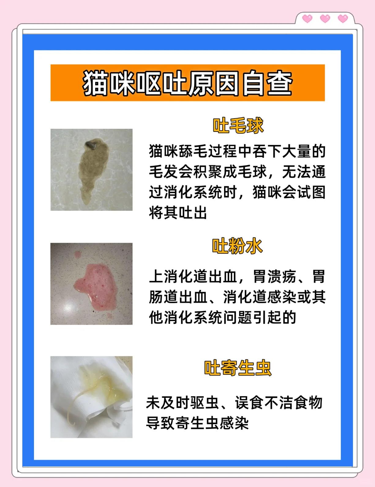 猫吐水怎么回事(猫吐水水是怎么了) 猫吐水怎么回事(猫吐水水是怎么了)