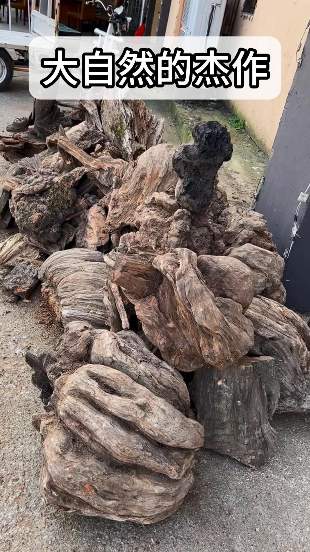 琥珀木有什么功效和作用(琥珀木有什么功效和作用禁忌) 琥珀木有什么功效和作用(琥珀木有什么功效和作用禁忌)