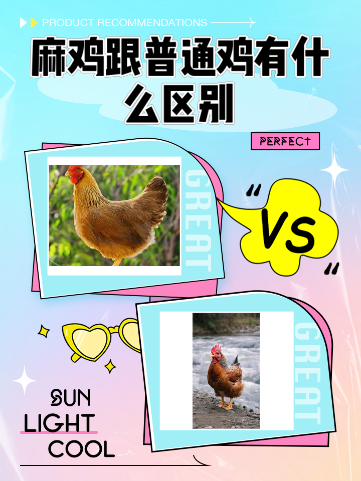 鸡和老鼠合不合(鸡和老鼠合不合适) 鸡和老鼠合不合(鸡和老鼠合不合适)
