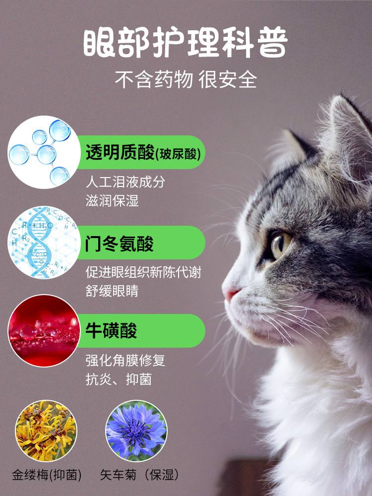 猫咪可以用人的眼药水吗(红霉素软膏可以擦猫咪眼睛吗) 猫咪可以用人的眼药水吗(红霉素软膏可以擦猫咪眼睛吗)