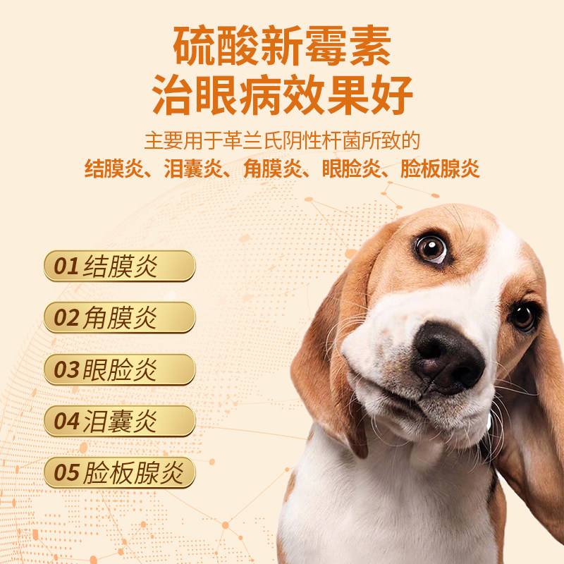 猫咪可以用人的眼药水吗(红霉素软膏可以擦猫咪眼睛吗) 猫咪可以用人的眼药水吗(红霉素软膏可以擦猫咪眼睛吗)