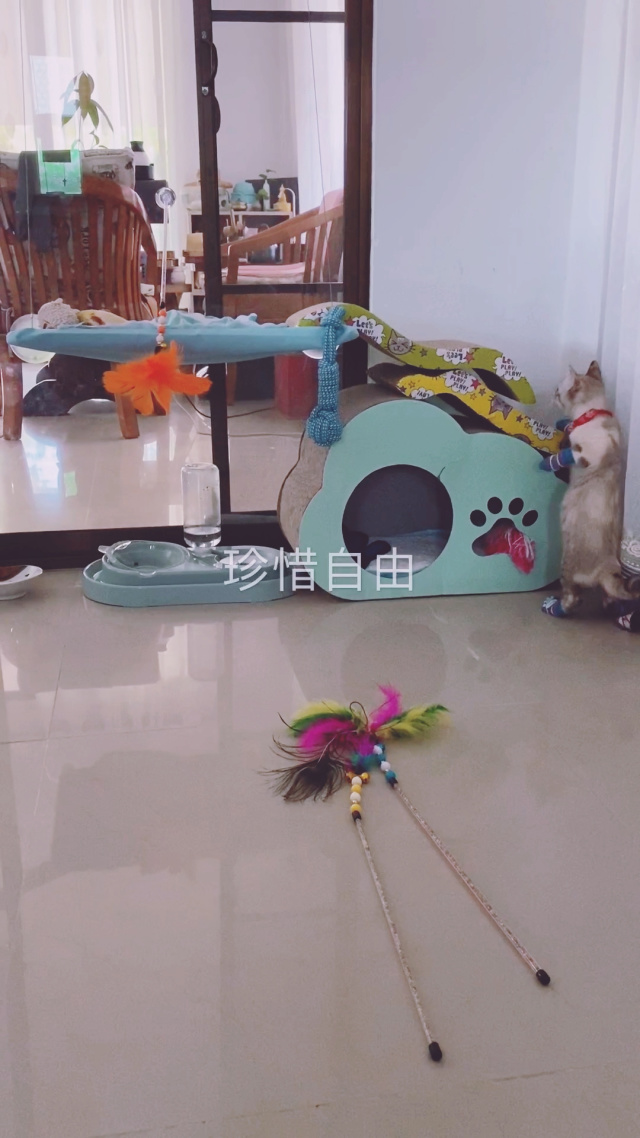 自己惩罚须跟袜子有关(自我惩罚必须跟袜子有关) 自己惩罚须跟袜子有关(自我惩罚必须跟袜子有关)