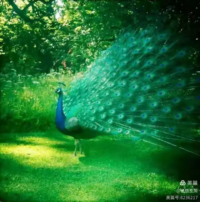晖与辉哪个寓意好(晖与辉哪个寓意好一点) 晖与辉哪个寓意好(晖与辉哪个寓意好一点)