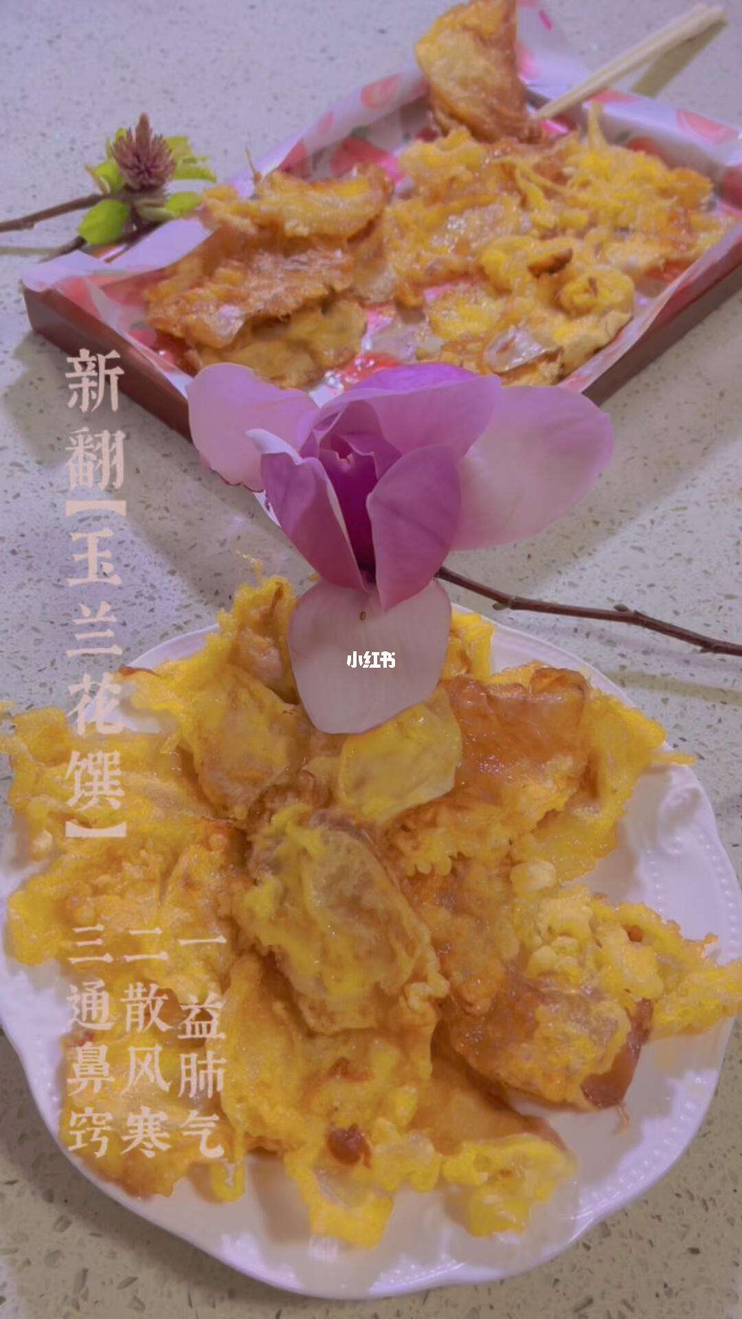 哪种玉兰花可以吃(玉兰花可以吃吗有什么功效) 哪种玉兰花可以吃(玉兰花可以吃吗有什么功效)