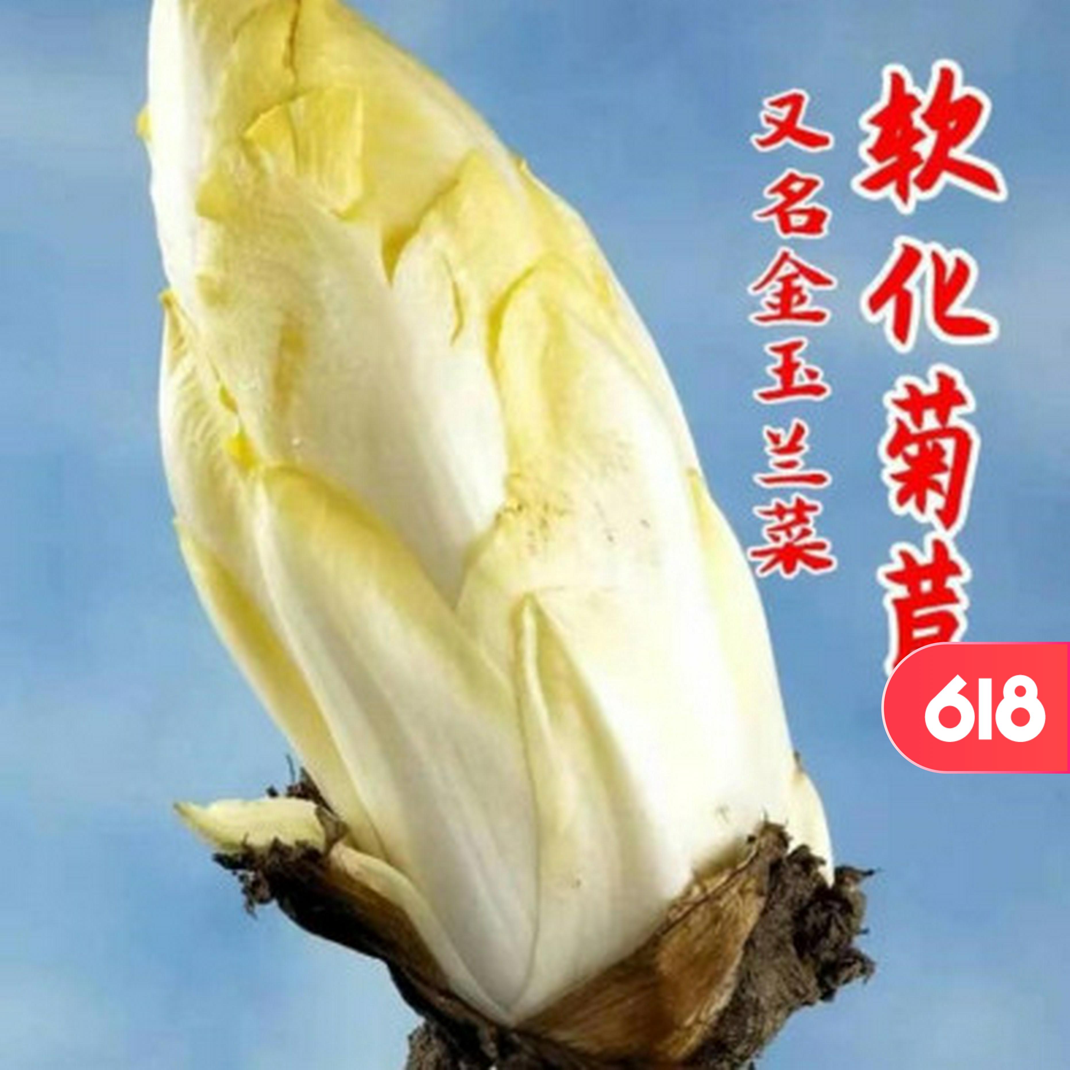 哪种玉兰花可以吃(玉兰花可以吃吗有什么功效) 哪种玉兰花可以吃(玉兰花可以吃吗有什么功效)