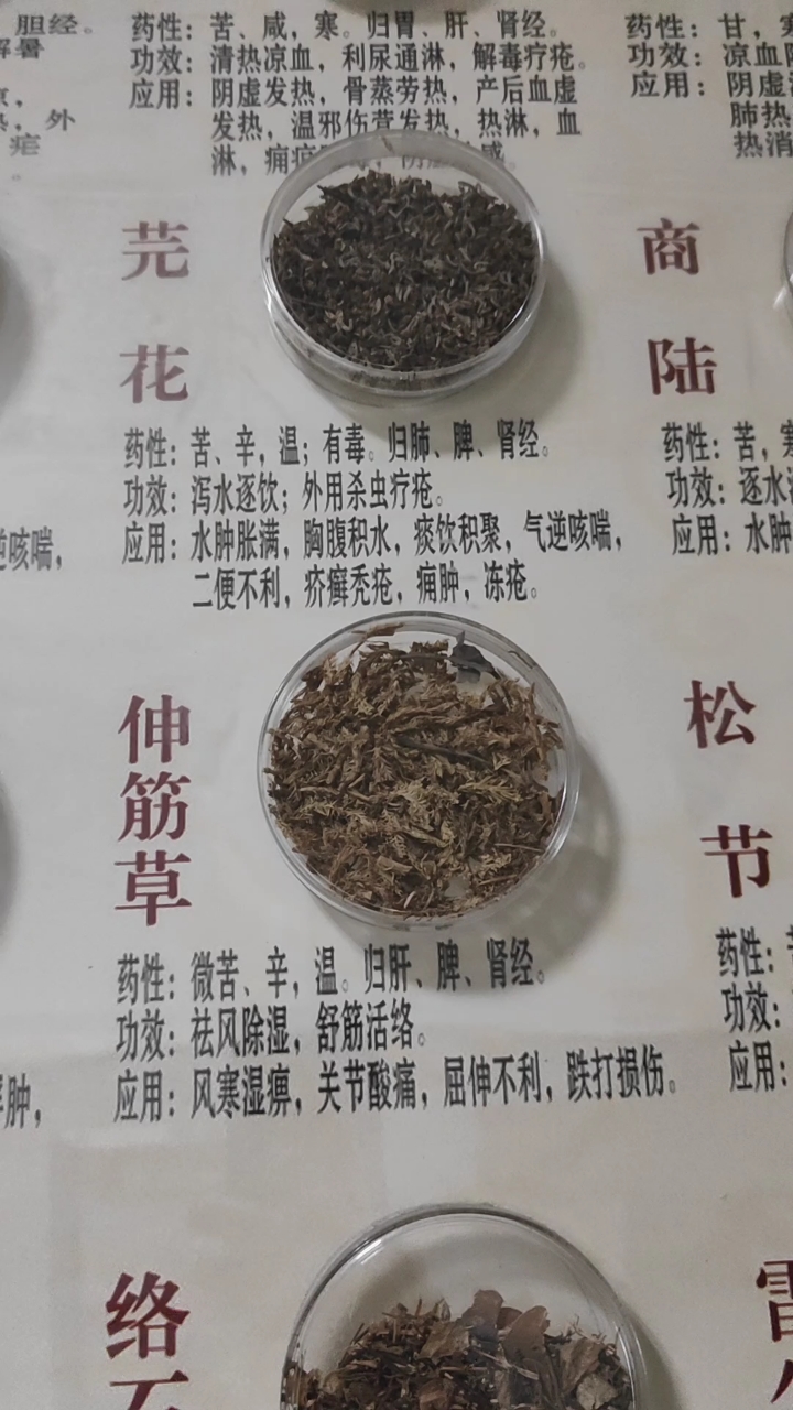 唯美中药名寓意好(唯美中药名寓意好又清新)