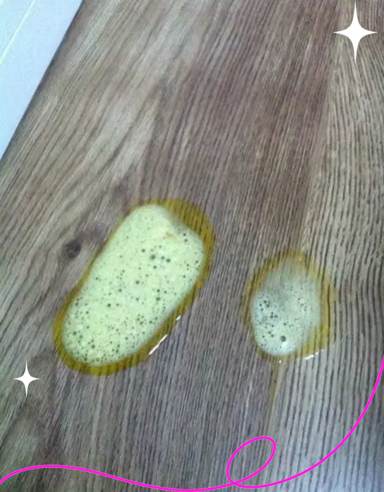狗狗吐黄水但是精神好不拉稀(狗狗吐黄水但是精神好不拉稀吃什么药)