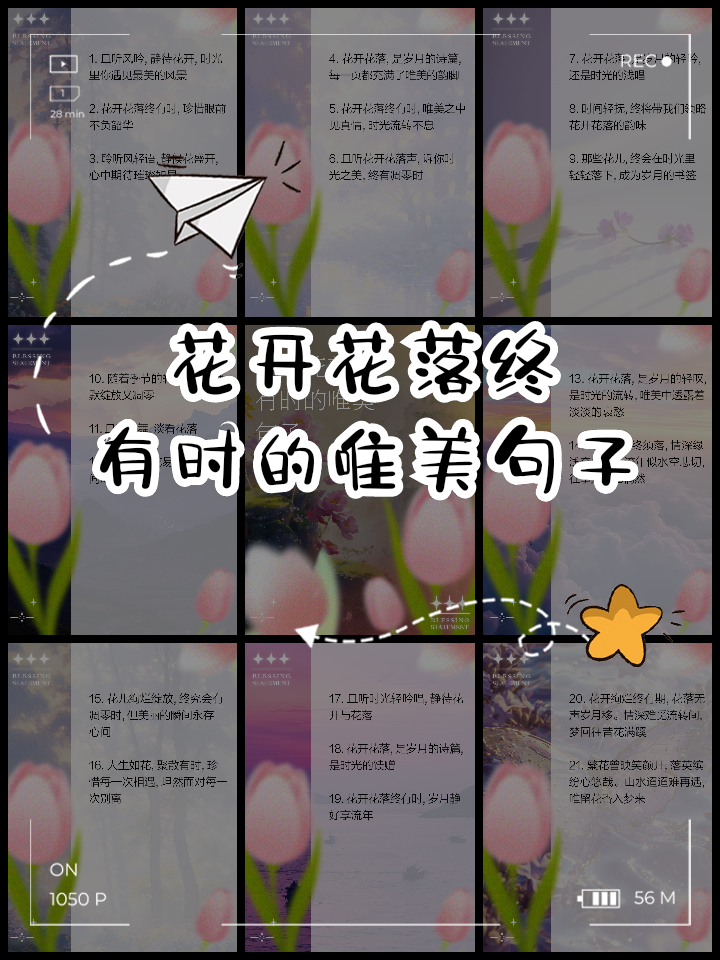 一朵小花唯美句子(一朵小花唯美句子图片) 一朵小花唯美句子(一朵小花唯美句子图片)