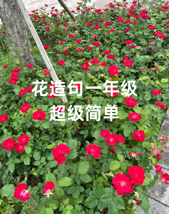 花朵写一句话一年级(用花朵造句子一年级的)