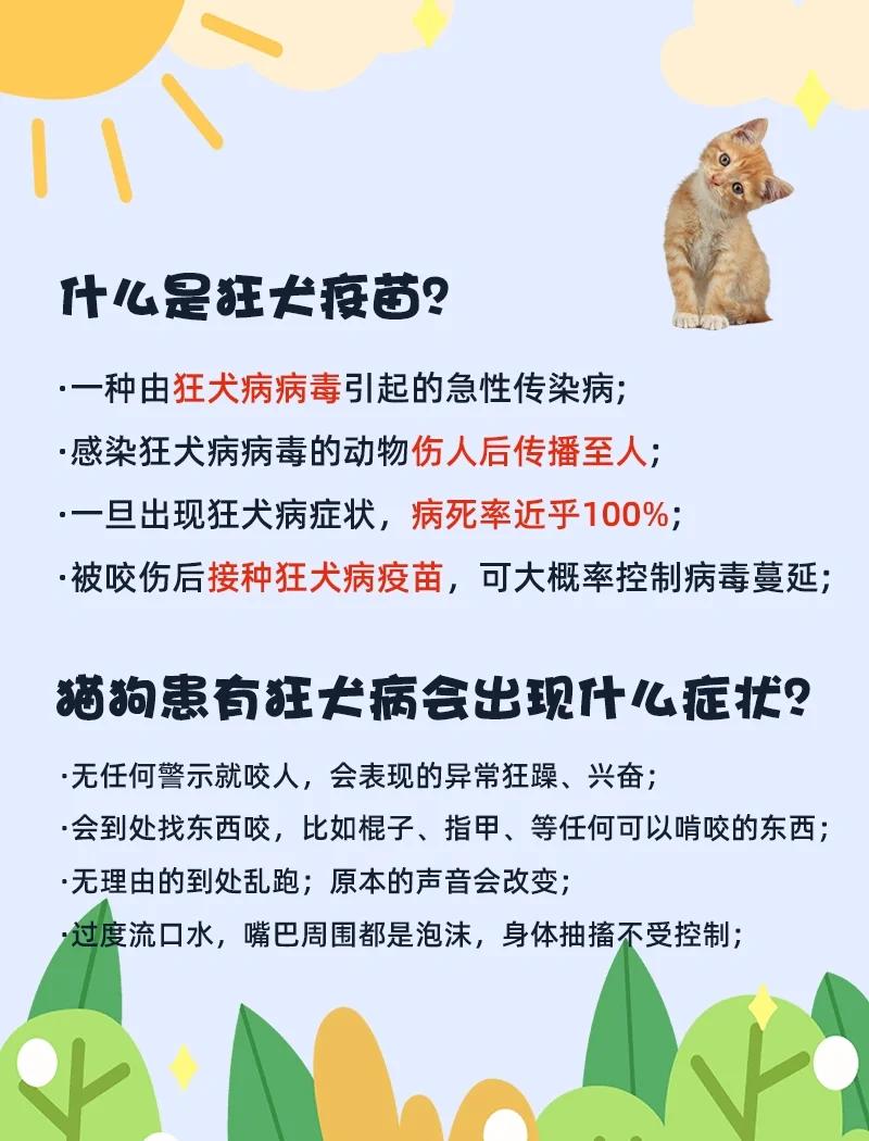 宠物狗被野猫抓伤要不要打针(狗被野猫抓伤了轻微出血会有事吗) 宠物狗被野猫抓伤要不要打针(狗被野猫抓伤了轻微出血会有事吗)