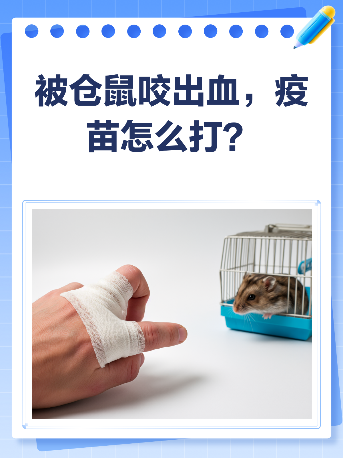 仓鼠会咬人吗(仓鼠会咬人吗要打针吗) 仓鼠会咬人吗(仓鼠会咬人吗要打针吗)
