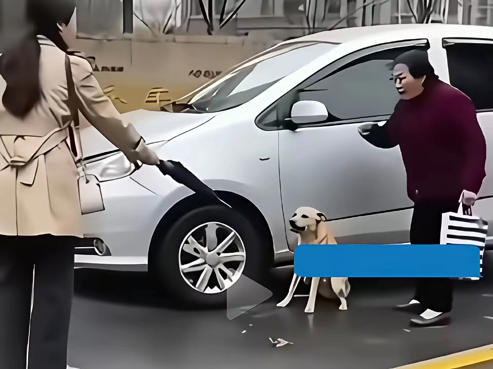 狗狗狂吠的人不干净(狗狂吠不止是什么预兆) 狗狗狂吠的人不干净(狗狂吠不止是什么预兆)