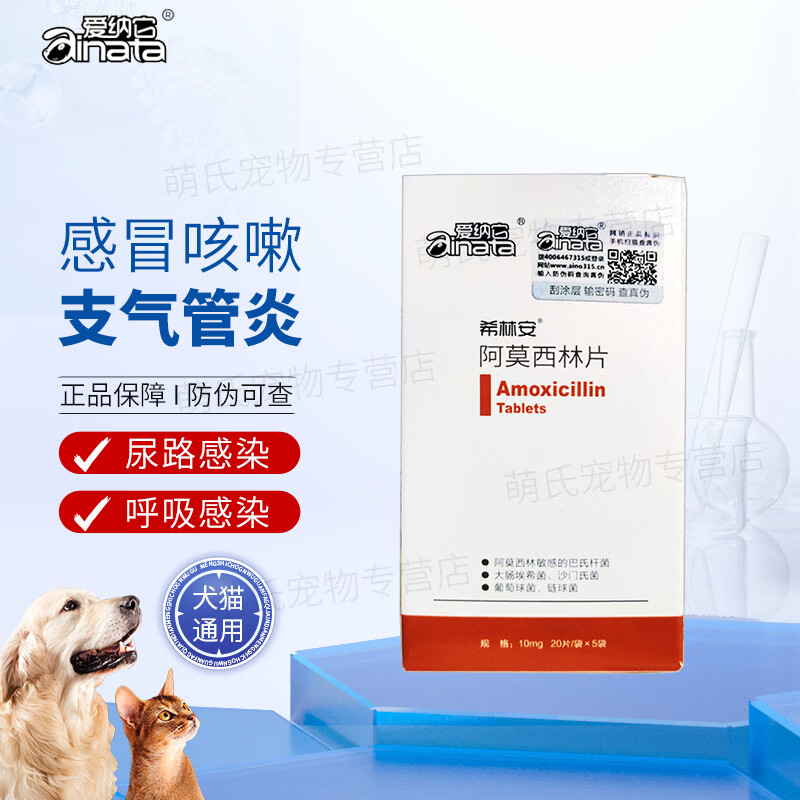 猫可以吃阿莫西林消炎药吗(猫咪可以吃阿莫西林胶囊吗?)