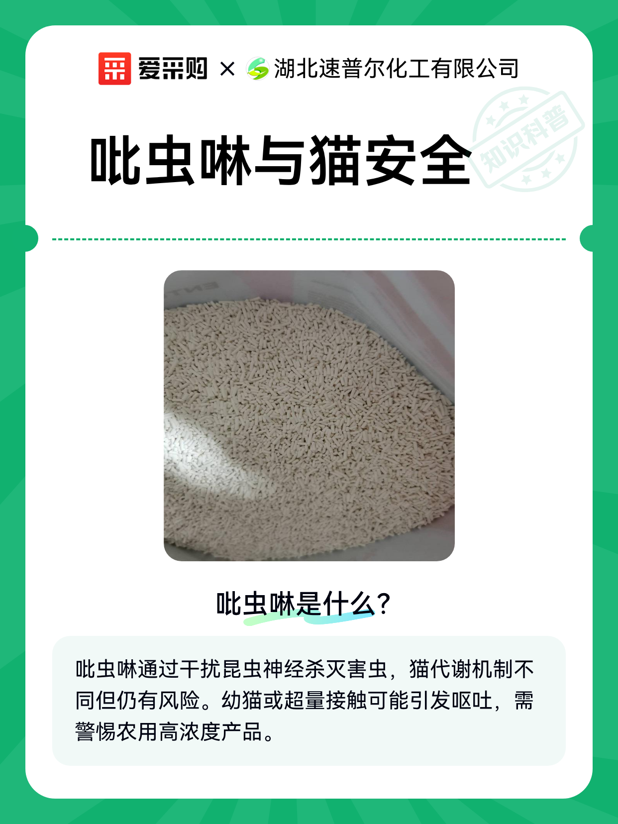 杀虫剂对猫咪有伤害吗(杀虫剂对猫咪有没有影响) 杀虫剂对猫咪有伤害吗(杀虫剂对猫咪有没有影响)