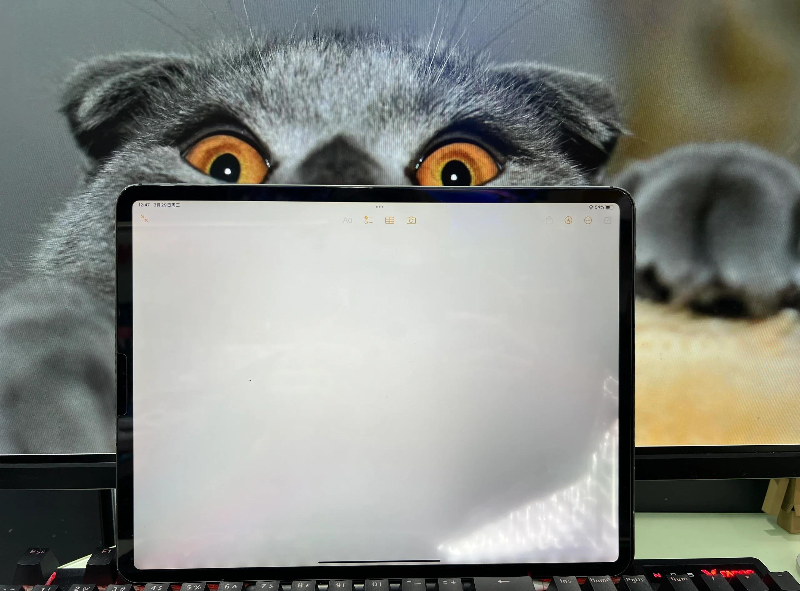 ipad进水了怎么办(ipad进水了第一时间怎么处理) ipad进水了怎么办(ipad进水了第一时间怎么处理)