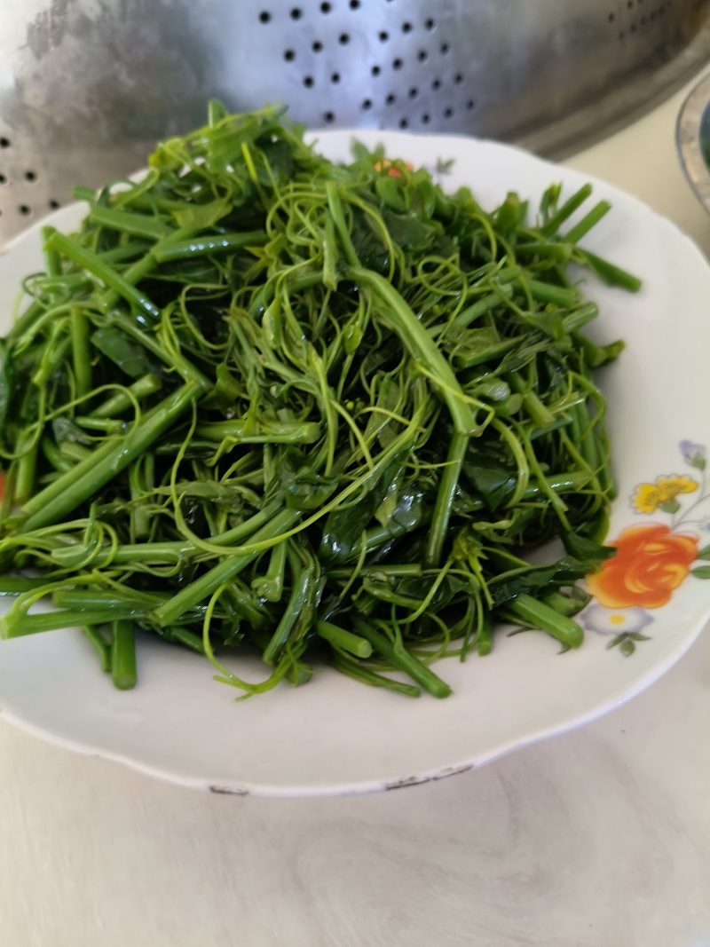 姑娘菜图片(姑娘菜怎么做好吃) 姑娘菜图片(姑娘菜怎么做好吃)