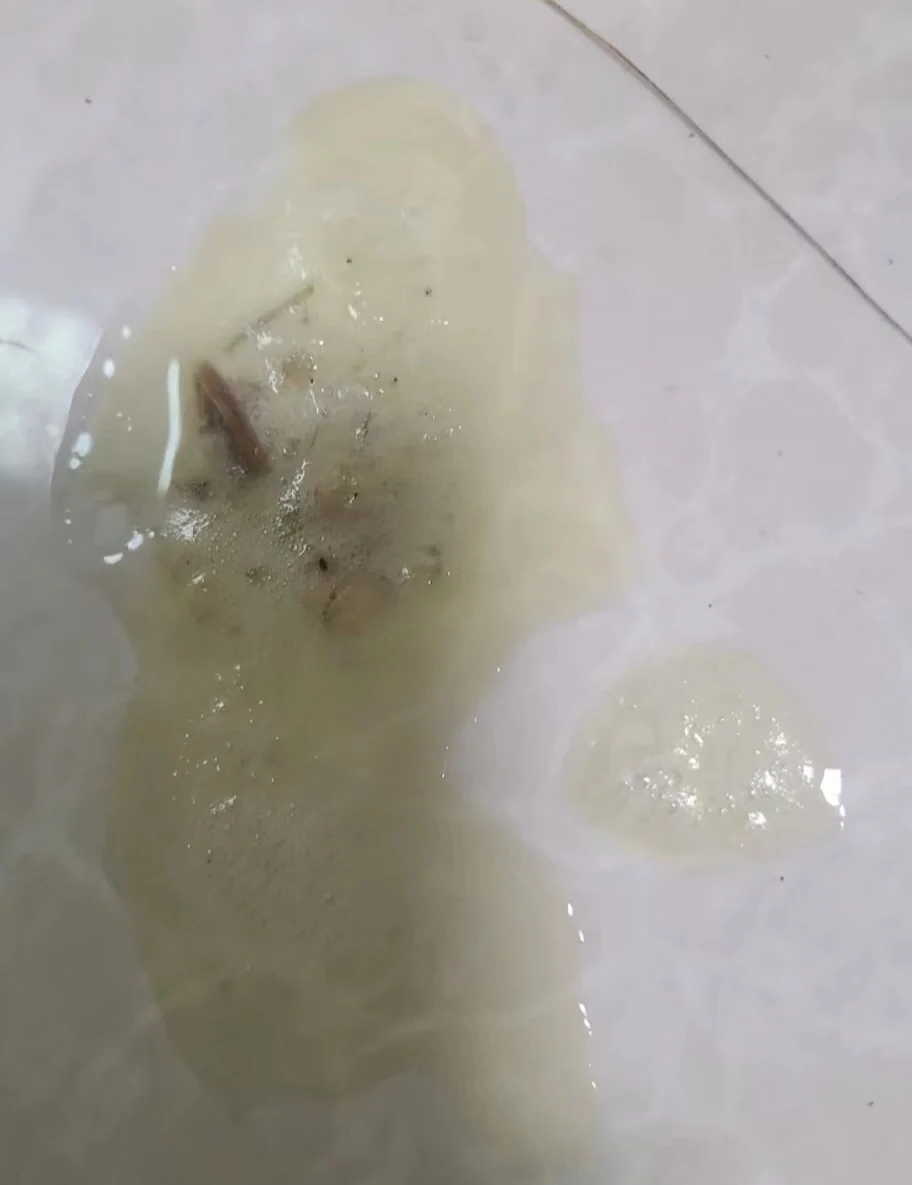 猫咪拉屎一粒一粒的像羊屎(猫咪拉屎一粒一粒的像羊屎怎么办) 猫咪拉屎一粒一粒的像羊屎(猫咪拉屎一粒一粒的像羊屎怎么办)