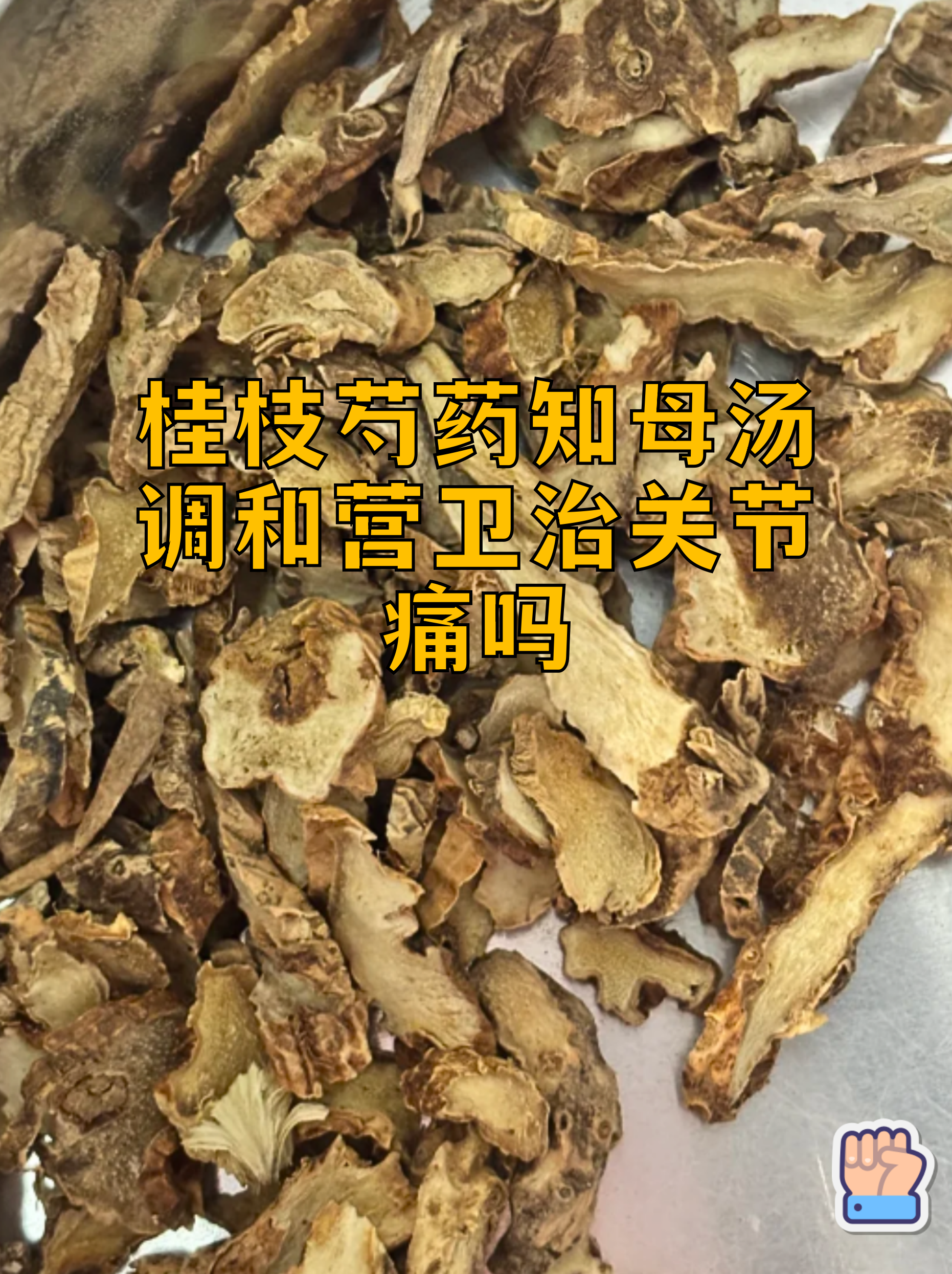 芍药花泡水喝的功效与作用(芍药花茶的功效与作用及禁忌症) 芍药花泡水喝的功效与作用(芍药花茶的功效与作用及禁忌症)