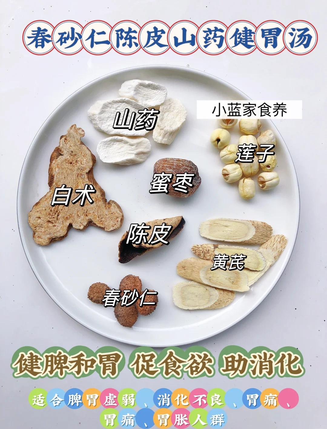 春砂仁与什么煲汤最佳(春砂仁与什么煲汤最佳效果) 春砂仁与什么煲汤最佳(春砂仁与什么煲汤最佳效果)