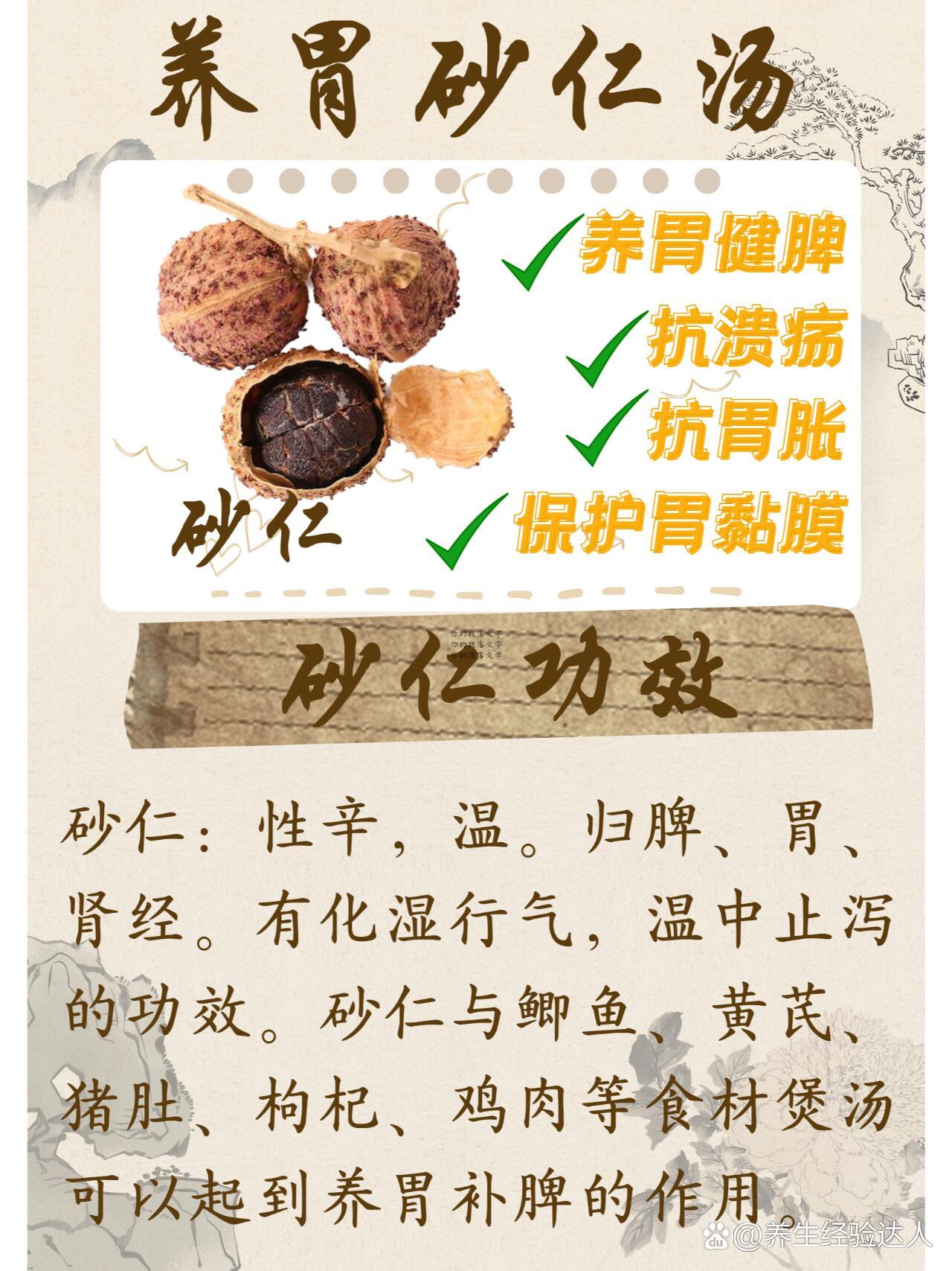 春砂仁与什么煲汤最佳(春砂仁与什么煲汤最佳效果) 春砂仁与什么煲汤最佳(春砂仁与什么煲汤最佳效果)