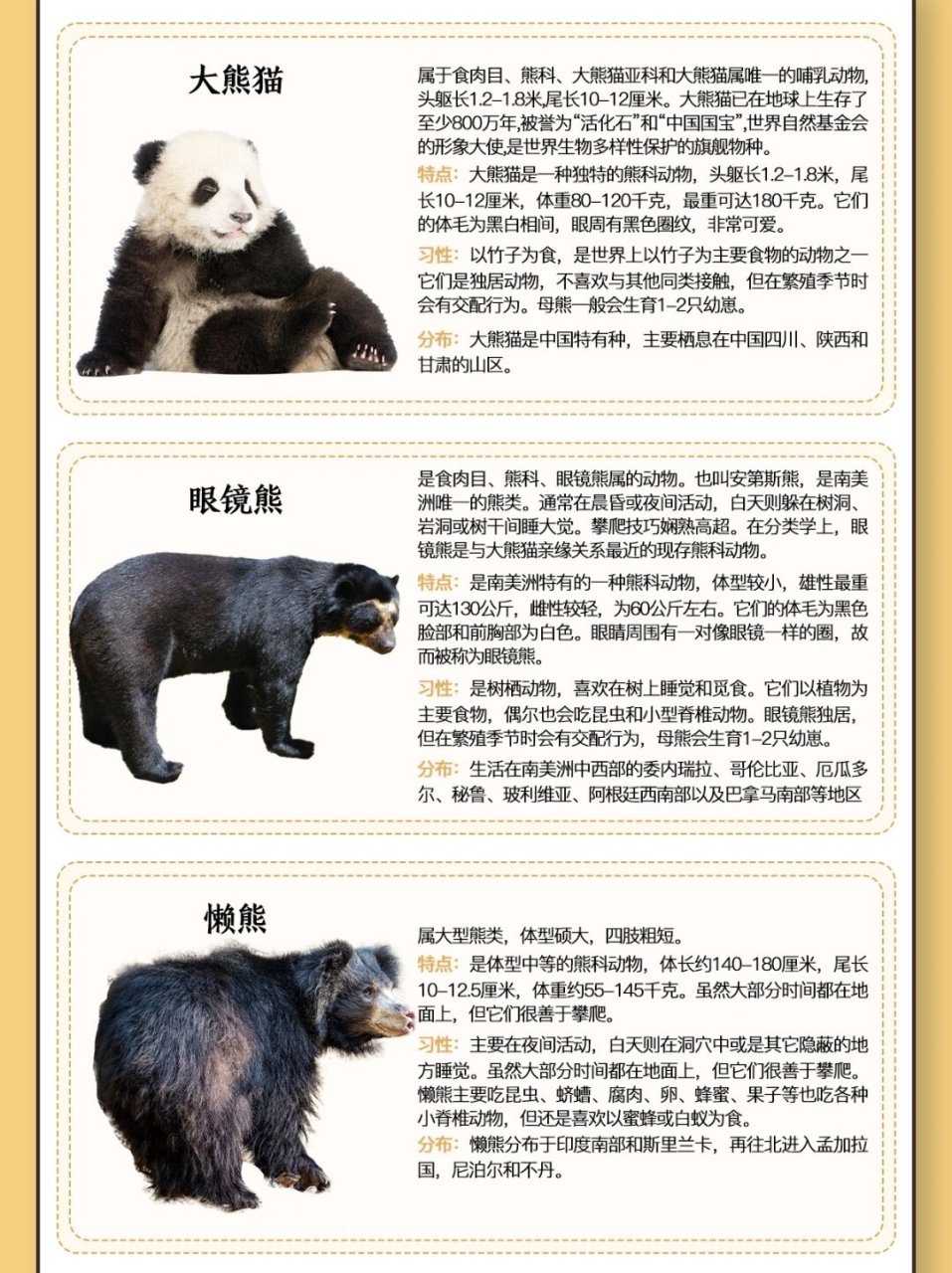 熊是群居动物吗(熊是群居动物吗?) 熊是群居动物吗(熊是群居动物吗?)