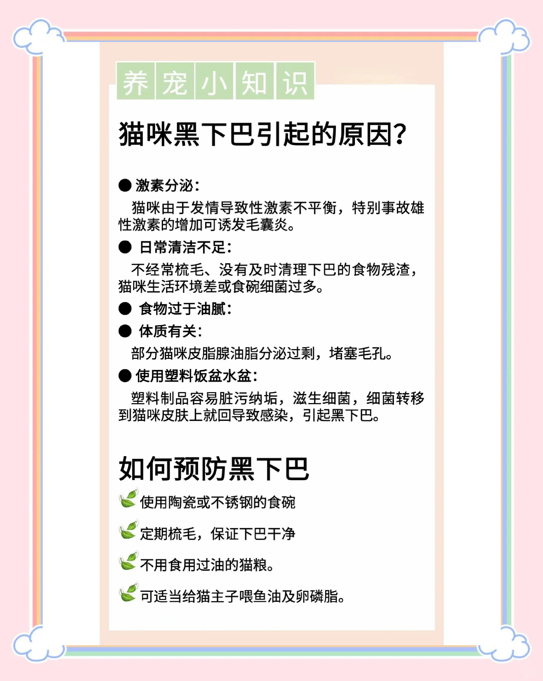猫咪黑下巴的原因是什么(猫咪黑下巴的原因是什么呢)