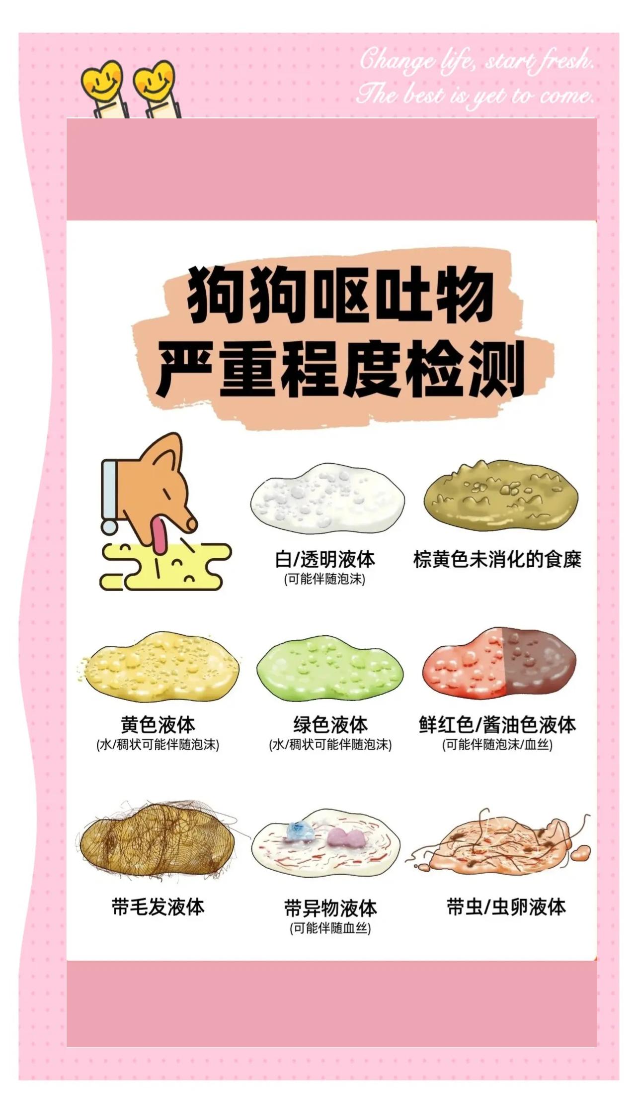 狗狗内脏受损5大征兆(狗狗内脏受损5大征兆有哪些) 狗狗内脏受损5大征兆(狗狗内脏受损5大征兆有哪些)