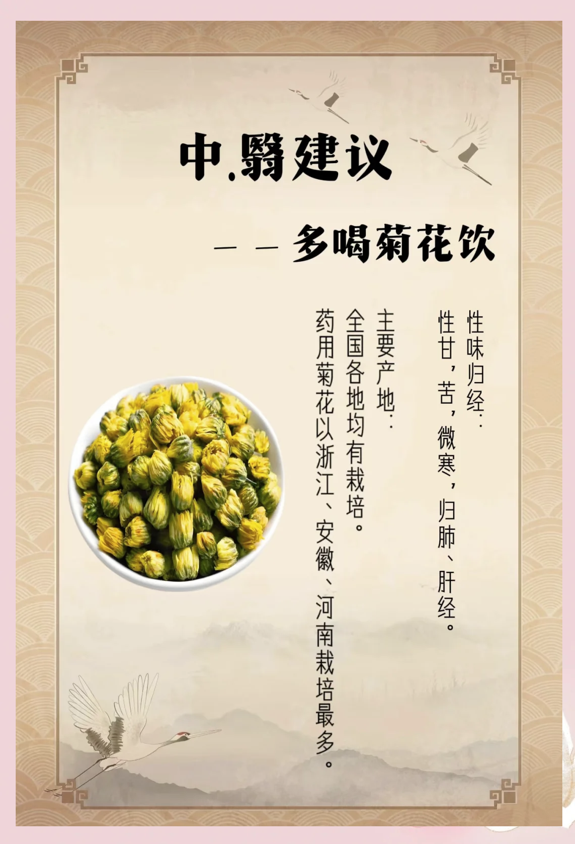 甘菊花的功效与作用(金银花菊花的功效与作用) 甘菊花的功效与作用(金银花菊花的功效与作用)