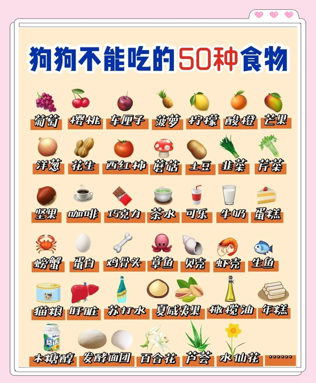 狗狗可以吃山楂片吗(小狗狗可以吃山楂片吗) 狗狗可以吃山楂片吗(小狗狗可以吃山楂片吗)