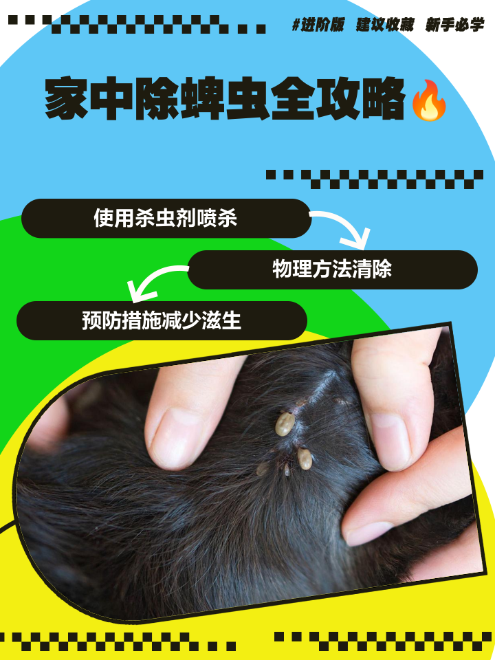 蜱虫的克星(蜱虫的克星最怕什么) 蜱虫的克星(蜱虫的克星最怕什么)