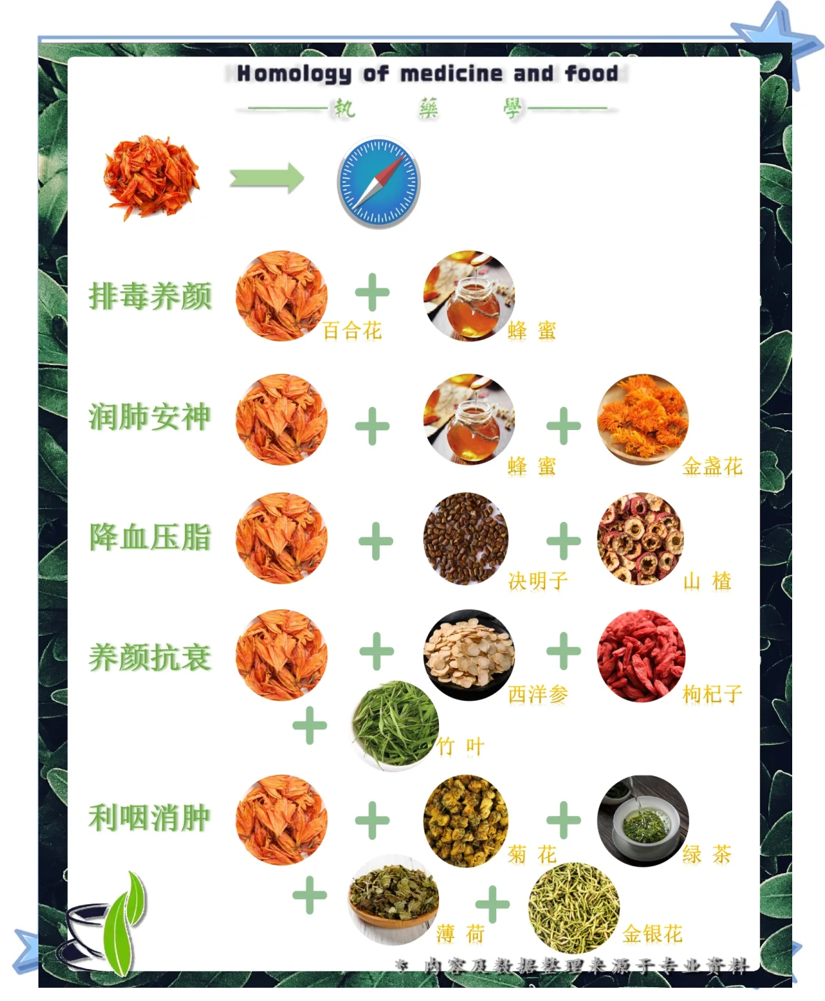 海棠茶的功效与禁忌(海棠茶的副作用是什么) 海棠茶的功效与禁忌(海棠茶的副作用是什么)