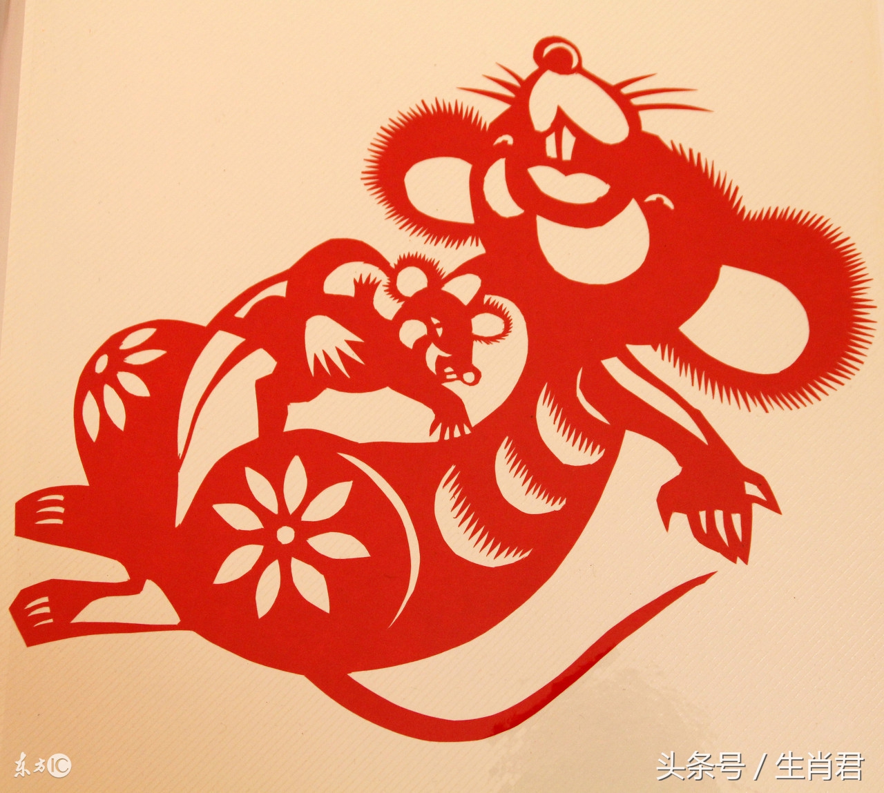 96年火鼠为什么是水命(96年鼠的正缘最晚在几岁) 96年火鼠为什么是水命(96年鼠的正缘最晚在几岁)