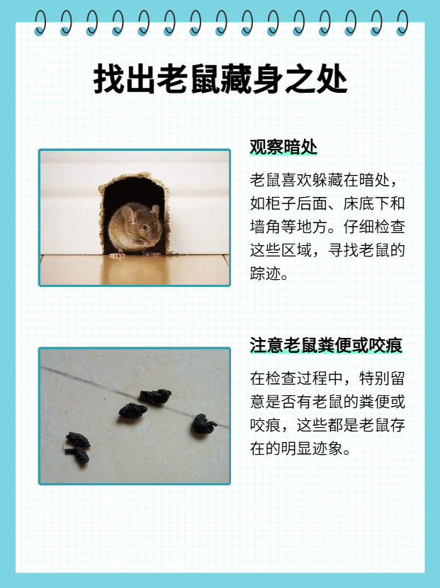 怎么赶走老鼠(怎么赶走老鼠出房间)