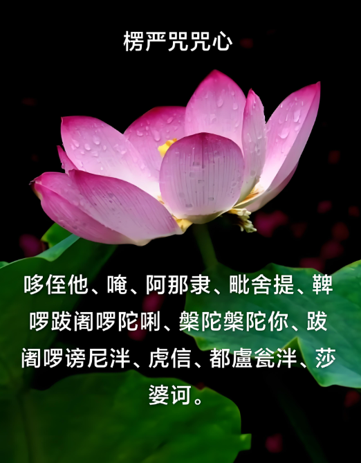 楞严经最美的句子(楞严经最美句子200字)