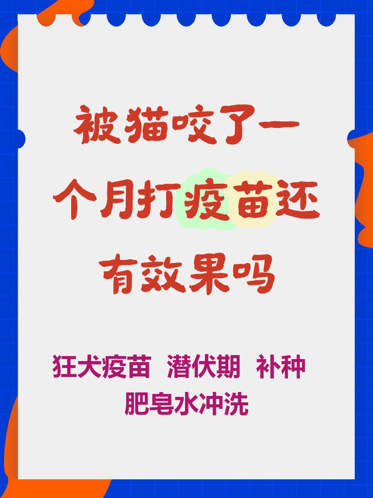 猫几个月可以打疫苗(猫咪3针疫苗一共多少元)