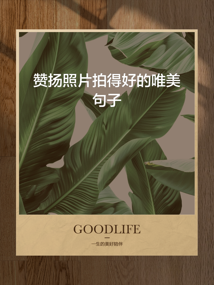 关于摄影的文艺句子(关于摄影的文艺句子摘抄) 关于摄影的文艺句子(关于摄影的文艺句子摘抄)