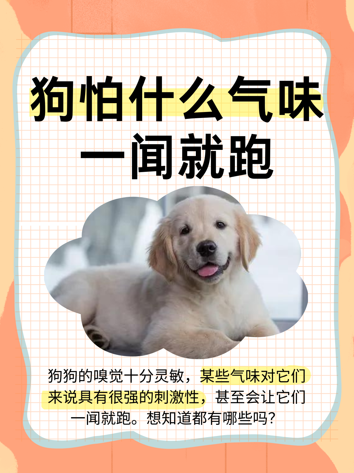 狗狗能吃杨梅吗(狗狗可以吃杨梅么?) 狗狗能吃杨梅吗(狗狗可以吃杨梅么?)