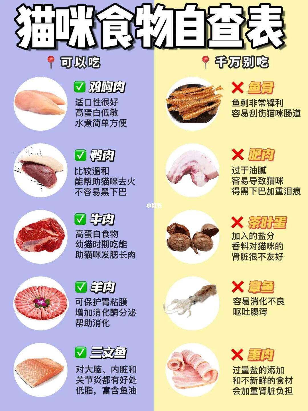 小猫不能吃什么食物(小猫不能吃什么东西?) 小猫不能吃什么食物(小猫不能吃什么东西?)