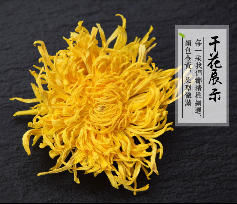 青驰菊花茶功效(喝青驰菊有什么功效) 青驰菊花茶功效(喝青驰菊有什么功效)