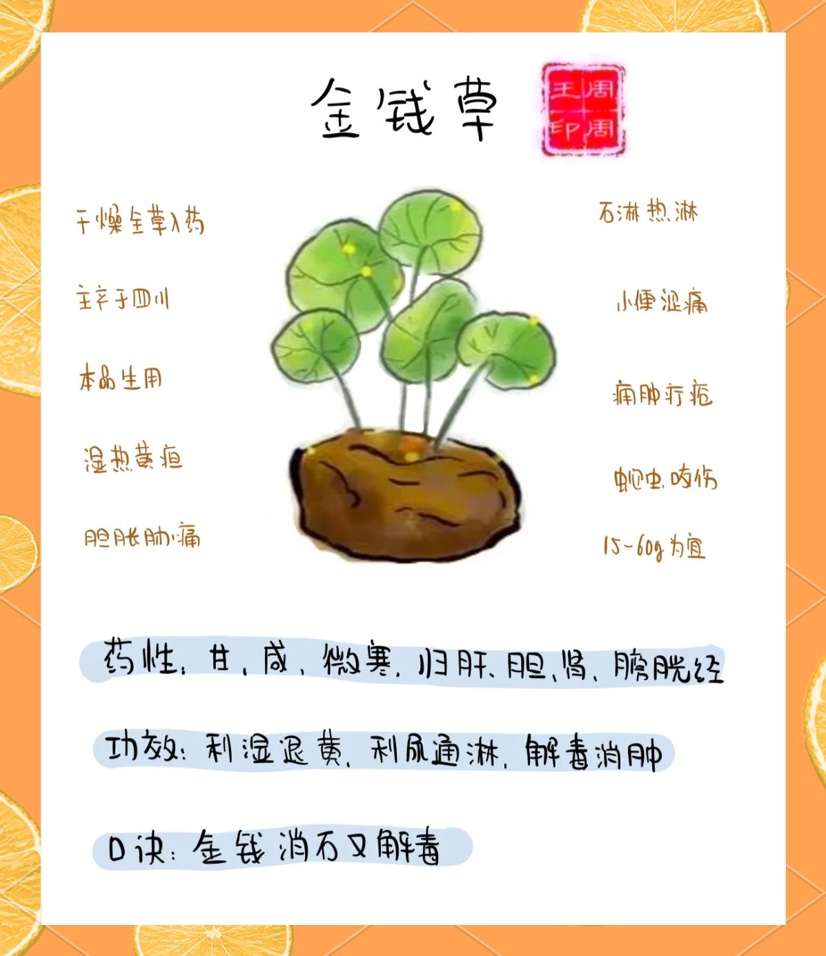 复方金钱草颗粒的功效与作用及禁忌(复方金钱草颗粒的功效与作用及禁忌症) 复方金钱草颗粒的功效与作用及禁忌(复方金钱草颗粒的功效与作用及禁忌症)