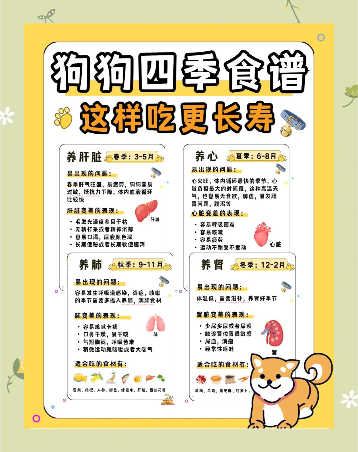 土狗吃什么主食比较好(土狗吃什么主食比较好消化)