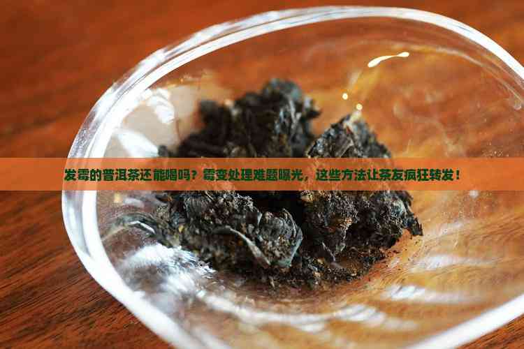 包含茶叶发霉了怎么处理还能饮用的词条