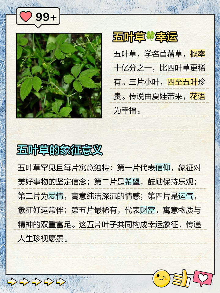 五月的寓意(五月寓意和象征昵称是什么)