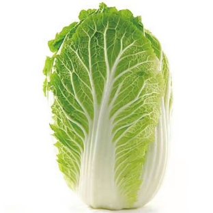 白菜价格(白菜价格今日价一斤)