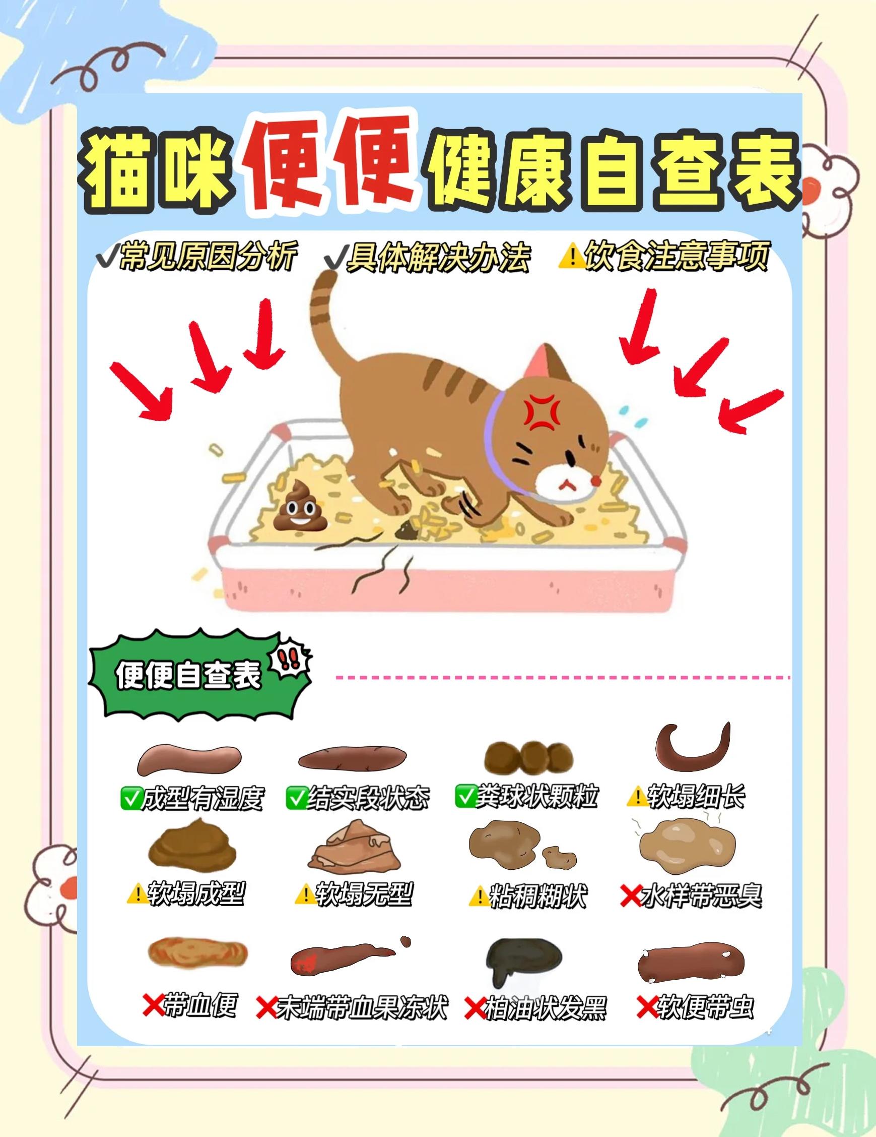 猫屎咖啡收集自哪种猫的排泄物(猫屎咖啡是由哪种猫的排泄物中提取加工完成的)