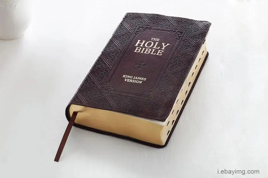 bible是什么意思(bilbies是什么意思) bible是什么意思(bilbies是什么意思)