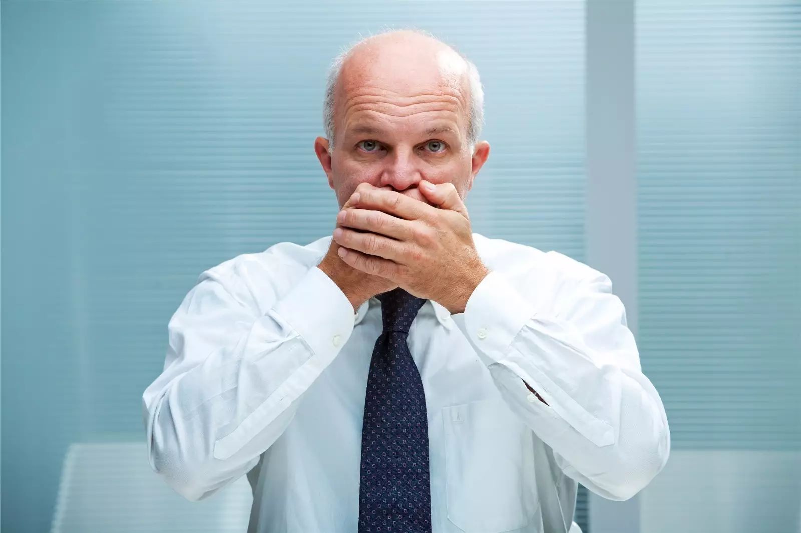bush是什么意思(bus是什么意思英语翻译)
