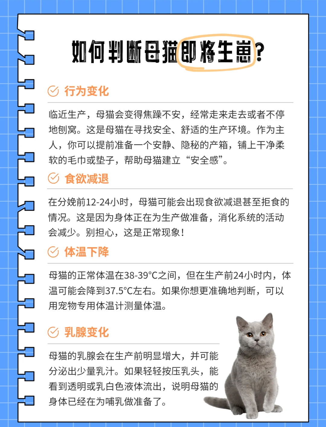 猫难产的处理方法(猫难产的处理方法视频) 猫难产的处理方法(猫难产的处理方法视频)