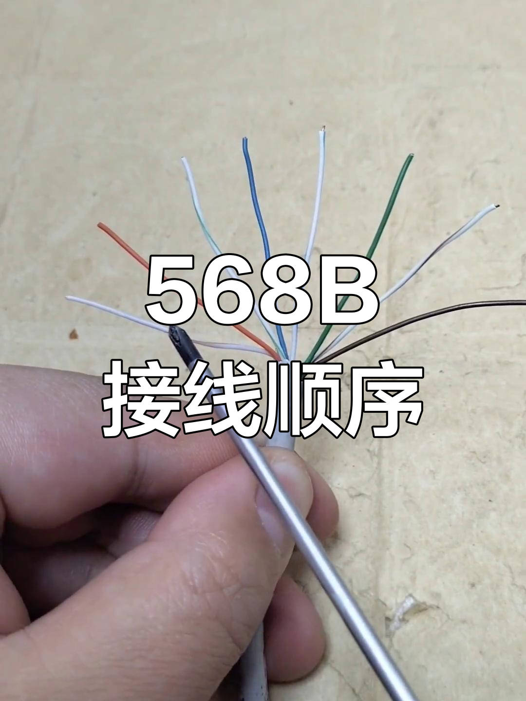 t568b线序(t568b线序图片)